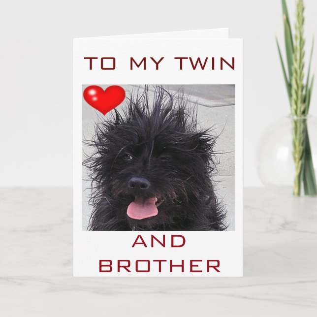DOG'S BAD HAIR DAY HAPPY BIRTHDAY TWIN BROTHER CARD (Front)