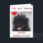 DOG'S BAD HAIR DAY HAPPY BIRTHDAY TWIN BROTHER CARD<br><div class="desc">HAPPY BIRTHDAY TO MY TWIN AND MY BROTHER AND THIS ADORABLE BLACK PUP IS SURE TO PUT A HUGE SMILE ON HIS FACE ON HIS SPECIAL DAY!</div>