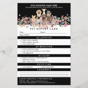 Dogs Boarding Grooming Report