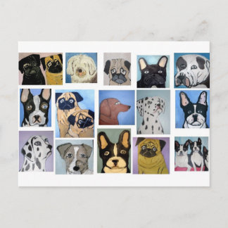 dogs by eric ginsburg postcard