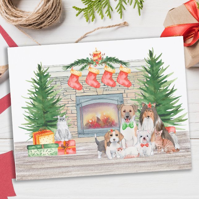 Dogs Cats Puppies Kittens Cute Christmas Fireplace Holiday Postcard (Creator Uploaded)