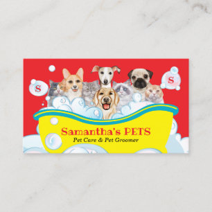 Dogs Cats Spa Sitter Groom PetCare Bath orange Business Card