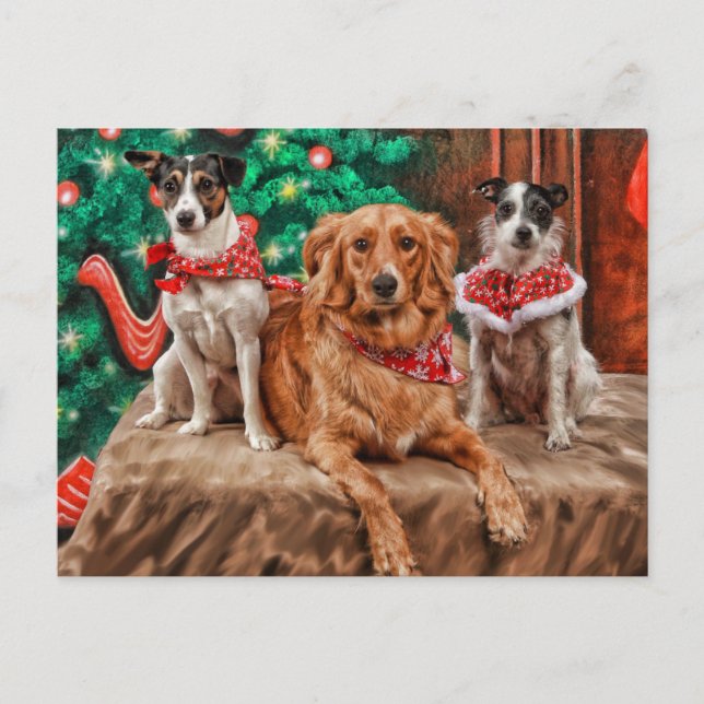 Dogs celebrating Christmas Holiday Postcard (Front)