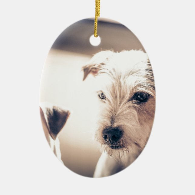 dogs ceramic tree decoration (Front)