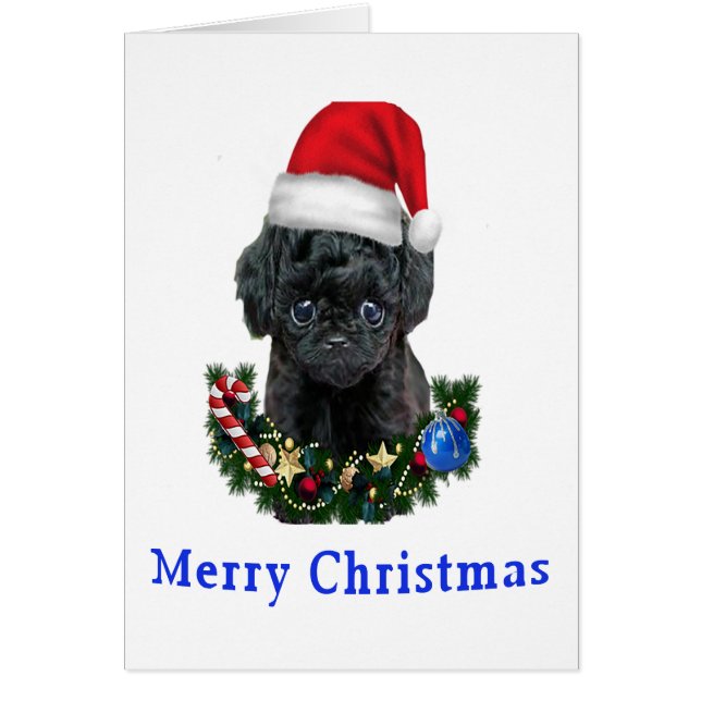 dogs Christmas cards (Front)
