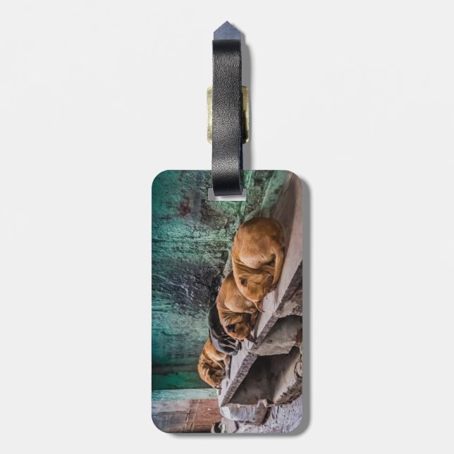 Dogs curling luggage tag w/ leather strap (Back Vertical)