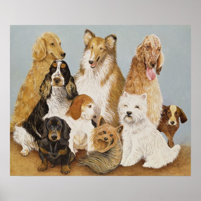 Dogs' Dinner Poster (Front)