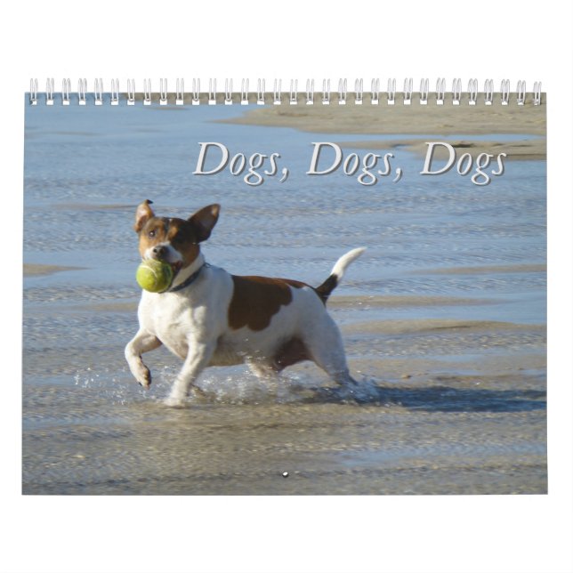 Dogs, Dogs, Dogs calendar (Cover)