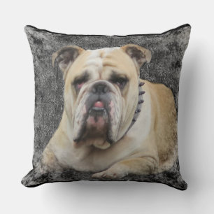 Dogs, english bulldogge, grim looking,pillow cushion