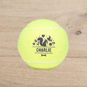 Dog's Favourite Things Tennis Balls