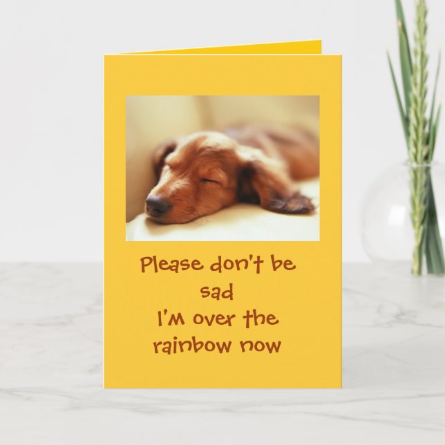 Dogs Going Over the Rainbow Thank You Card (Front)