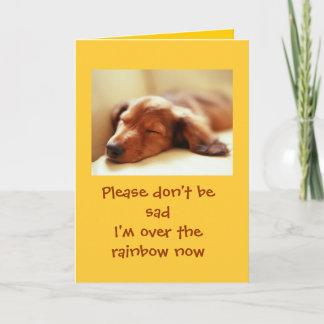 Dogs Going Over the Rainbow Thank You Card