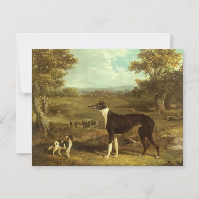 Dogs, Greyhound and Spaniel, Doctor Fop by Herring (Front)