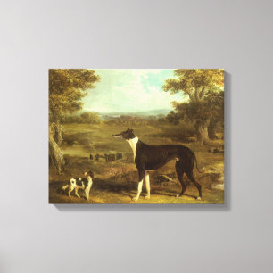Dogs, Greyhound and Spaniel, Doctor Fop by Herring Canvas Print