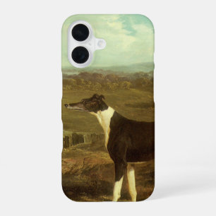 Dogs, Greyhound and Spaniel, Doctor Fop by Herring iPhone 16 Case
