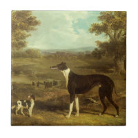 Dogs, Greyhound and Spaniel, Doctor Fop by Herring