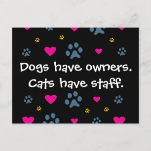 Dogs Have Owners-Cats Have Staff Postcard