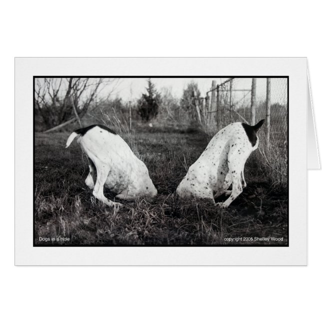 Dogs in a Hole (Front Horizontal)