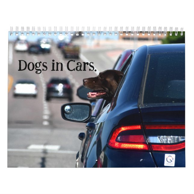 Dogs in Cars Calendar (Cover)