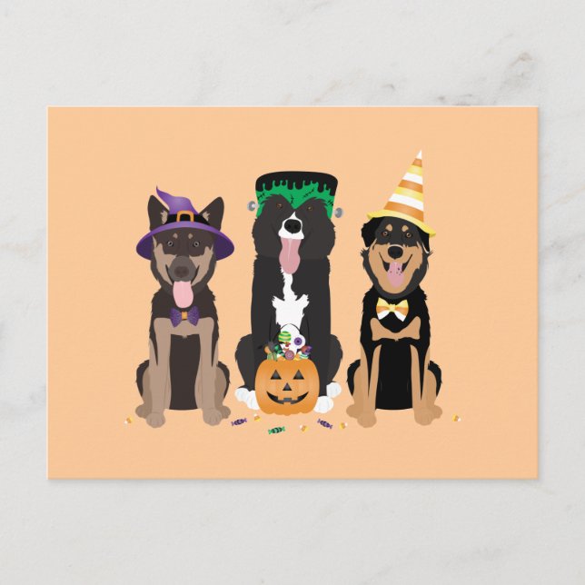 Dogs In Halloween Costumes  Postcard (Front)