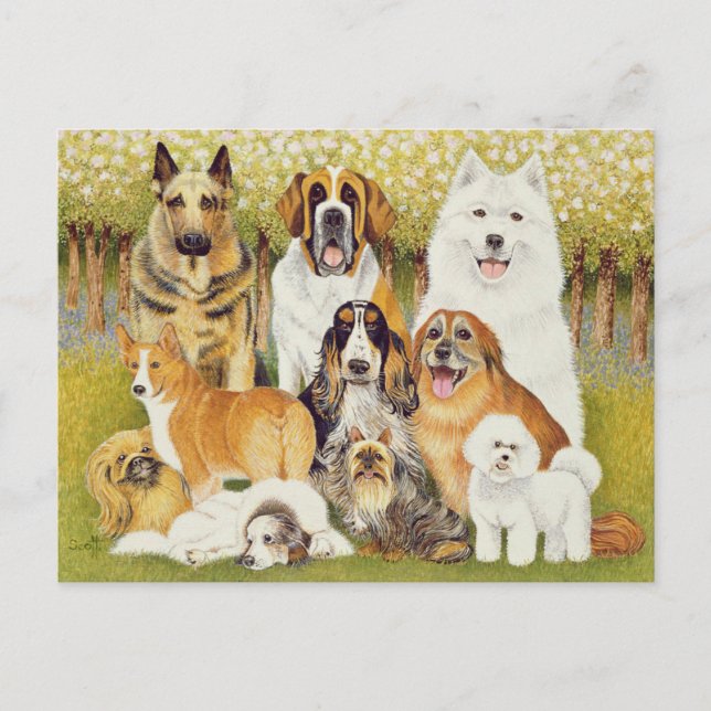 Dogs in May Postcard (Front)