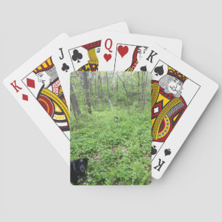 Dogs in the Woods Playing Cards
