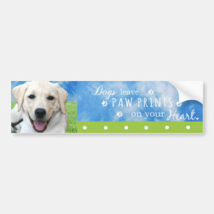 Dogs leave paw prints on your heart bumper sticker