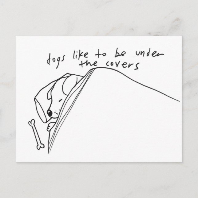 dogs like to be under the covers postcard (Front)