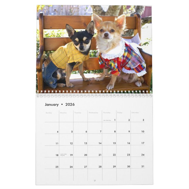 Dogs Living As Humans by Sherial Vaughn Calendar (Jan 2026)
