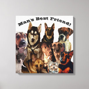 DOG'S MANS BEST FRIEND  Stretched Canvas Print