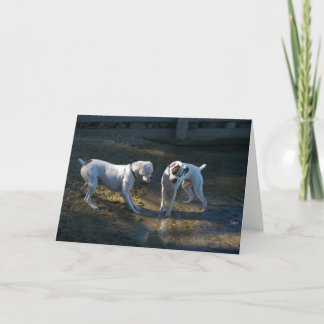 Dogs Meet Their First Wave Card