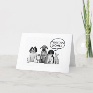 DOGS "MERRY CHRISTMAS HONEY" MISTLETOE LATTER! HOLIDAY CARD