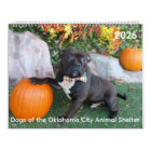 Dogs of the Oklahoma City Animal Shelter Calendar