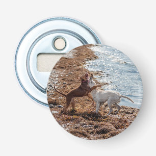 Dogs on beach bottle opener