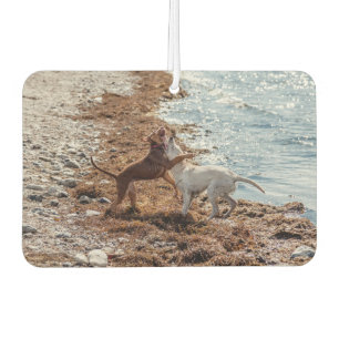 Dogs on beach car air freshener