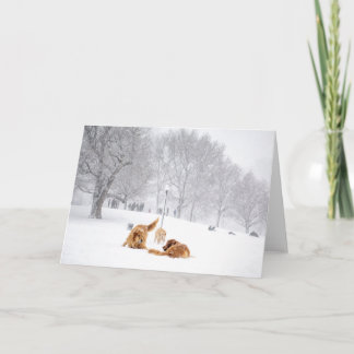 Dogs on Boston Common greeting card