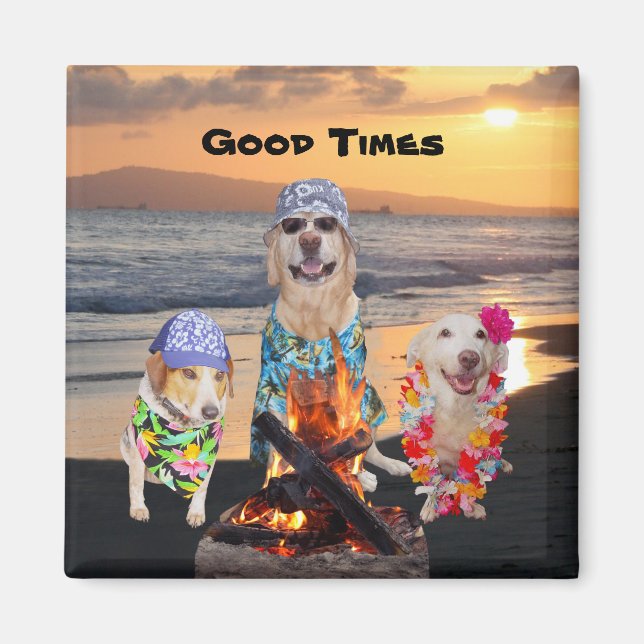 Dogs on the Beach at Sunset Magnet (Front)
