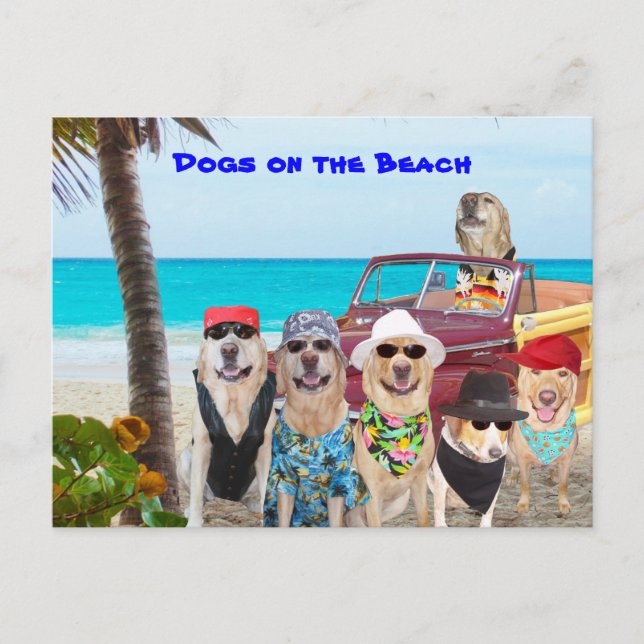 Dogs on the Beach Postcard (Front)