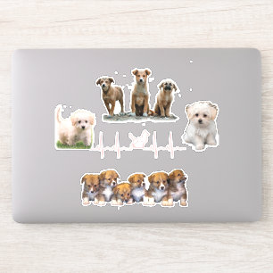 Dogs package, Funny Dogs package
