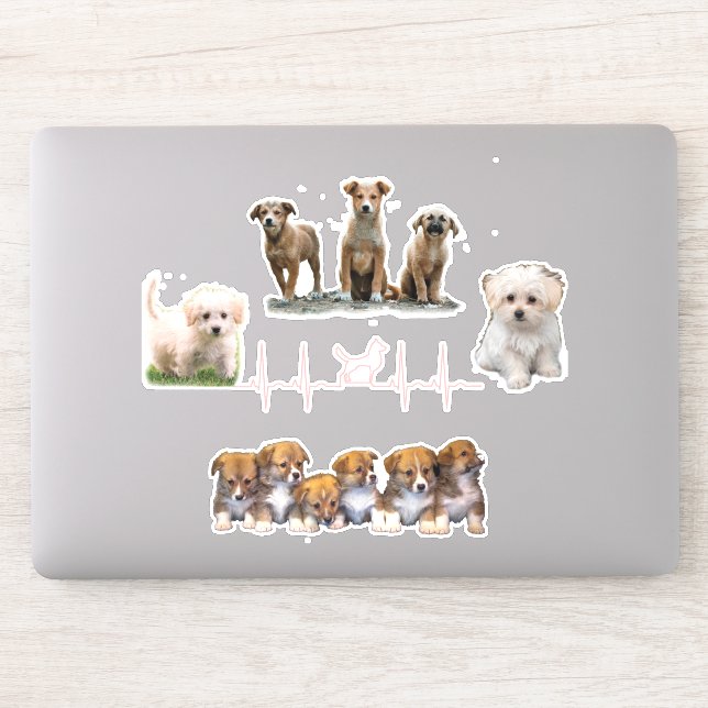 Dogs package, Funny Dogs package (Computer)