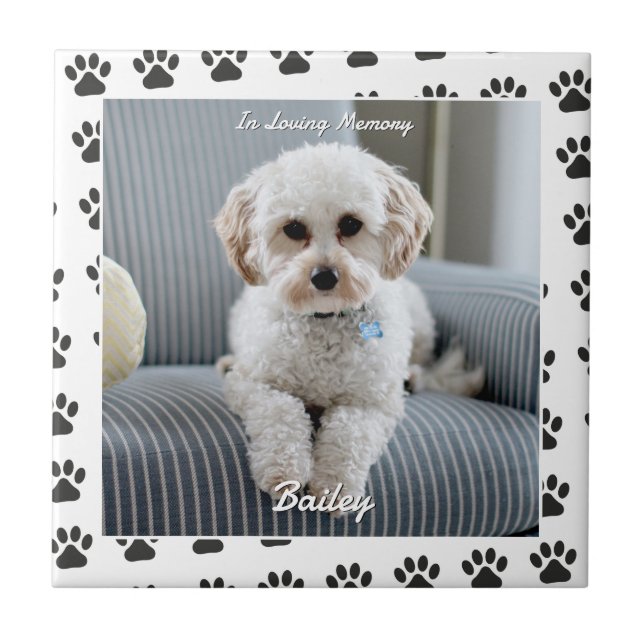 Dog's Photo, Name, In Loving Memory, Paw Prints Tile (Front)