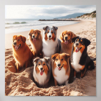 dogs playing on the beach in the summer poster