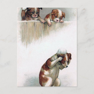 "Dogs playing Snowballs" Vintage Postcard
