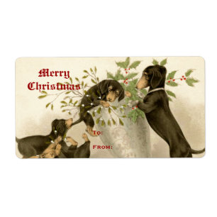 Dogs playing with Christmas mistletoe & holy berry