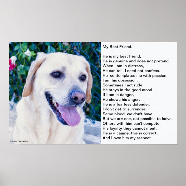 Dog's Poem Poster (Front)