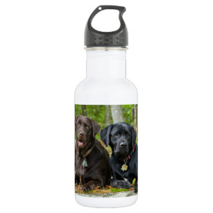 Dogs Puppies Black Lab Chocolate Labrador Retrieve 532 Ml Water Bottle