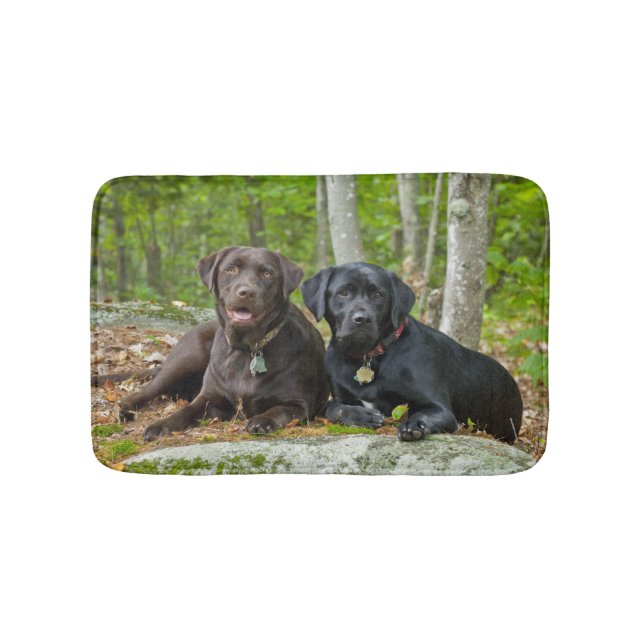 Dogs Puppies Black Lab Chocolate Labrador Retrieve Bath Mat (Front)