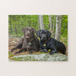 Dogs Puppies Black Lab Chocolate Labrador Retrieve Jigsaw Puzzle