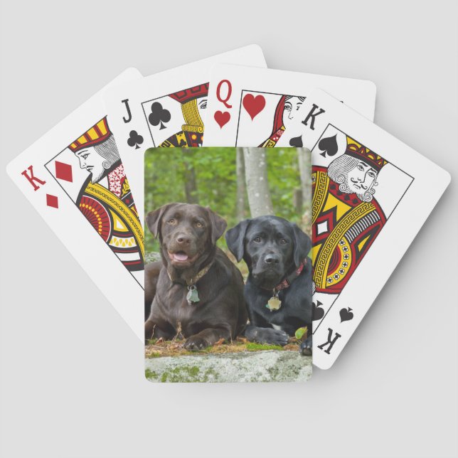 Dogs Puppies Black Lab Chocolate Labrador Retrieve Playing Cards (Back)