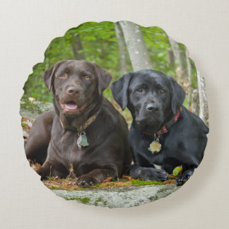 Dogs Puppies Black Lab Chocolate Labrador Retrieve Round Cushion